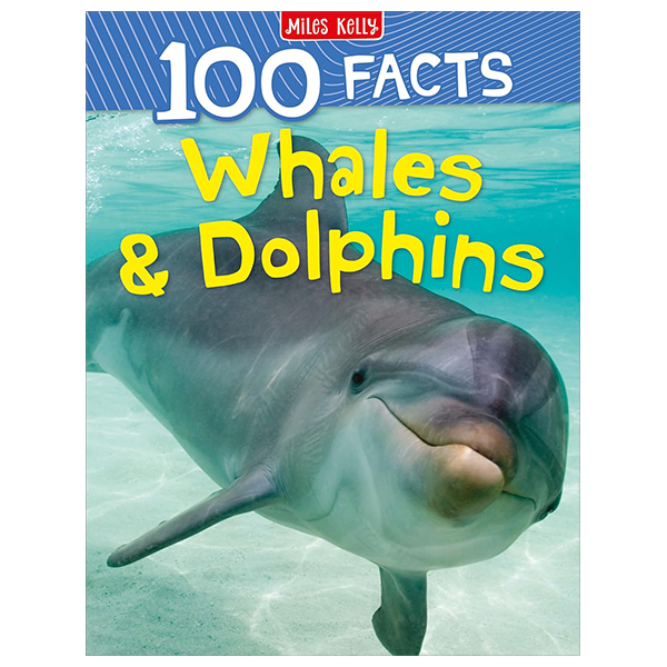 100 facts whales and dolphins