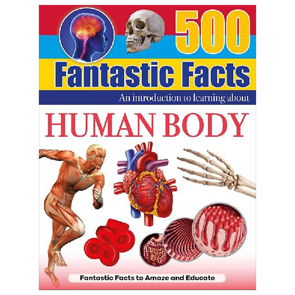 500 fantastic facts - human body