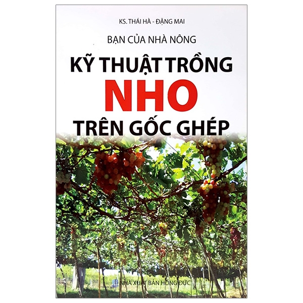 bạn của nhà nông - kỹ thuật trồng nho trên gốc ghép