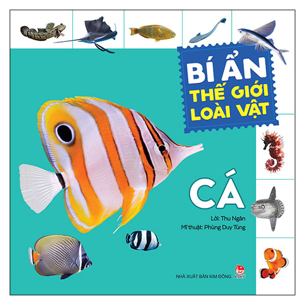 bí ẩn thế giới loài vật - cá