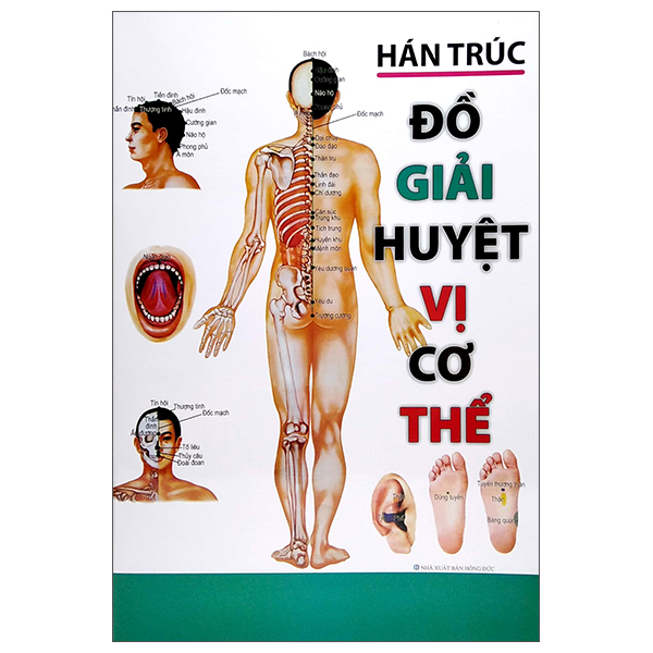 đồ giải huyệt vị cơ thể