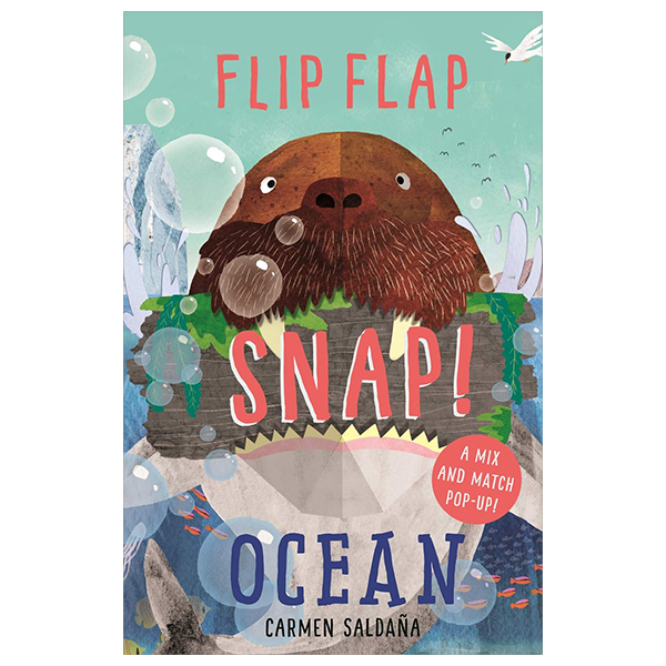 flip flap snap - ocean