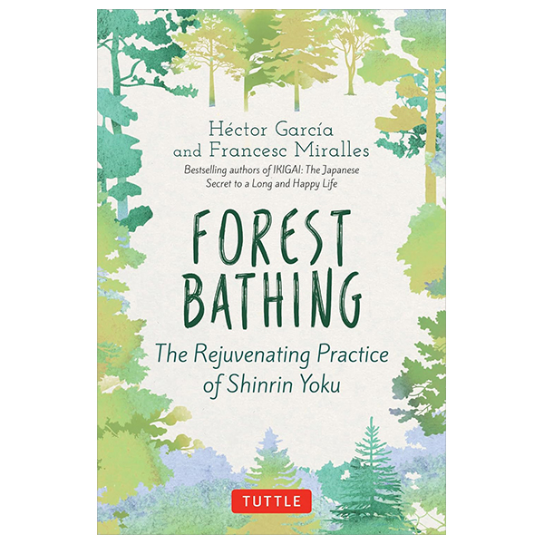 forest bathing: the rejuvenating practice of shinrin yoku