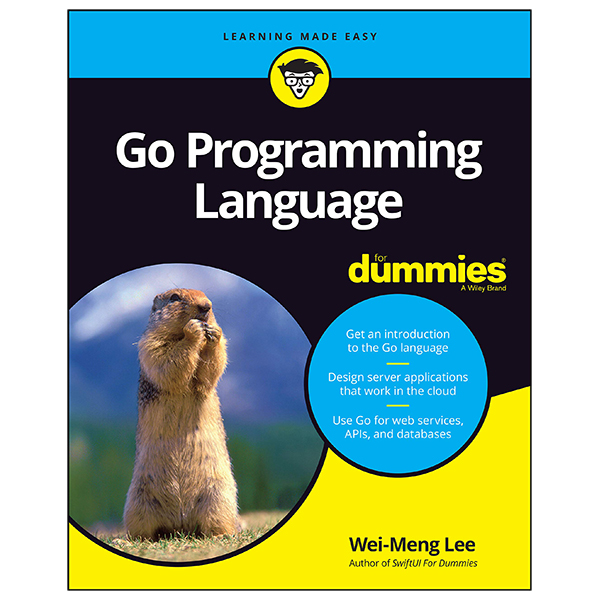 go programming language for dummies