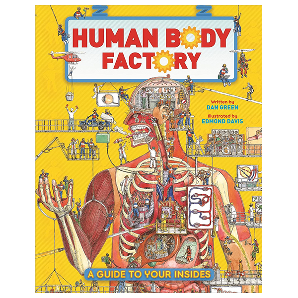 human body factory - a guide to your insides