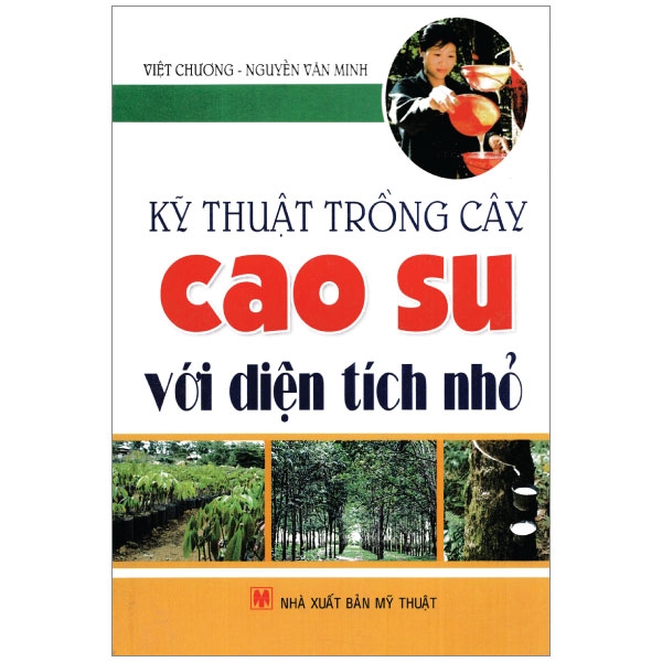 kỹ thuật trồng cây cao su với diện tích nhỏ