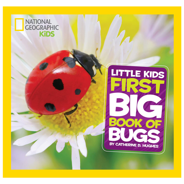 national geographic little kids first big book of bugs