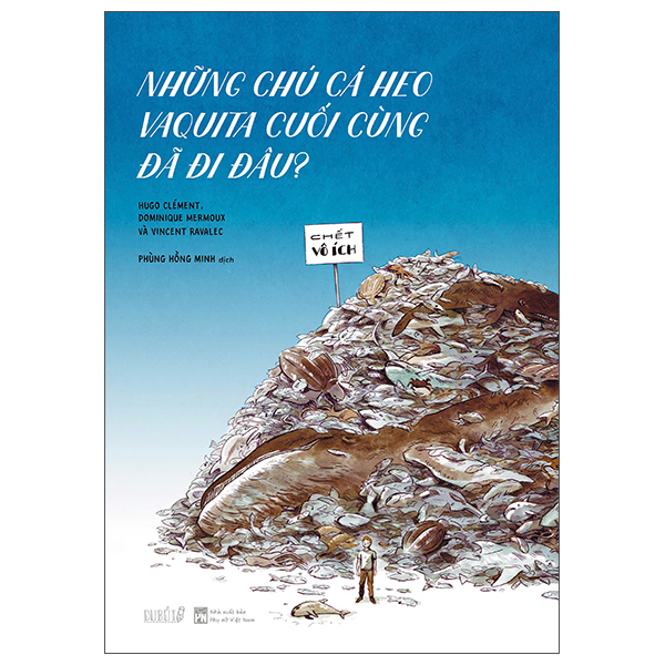 Những Chú Cá Heo Vaquita Cuối Cùng Đã Đi Đâu?