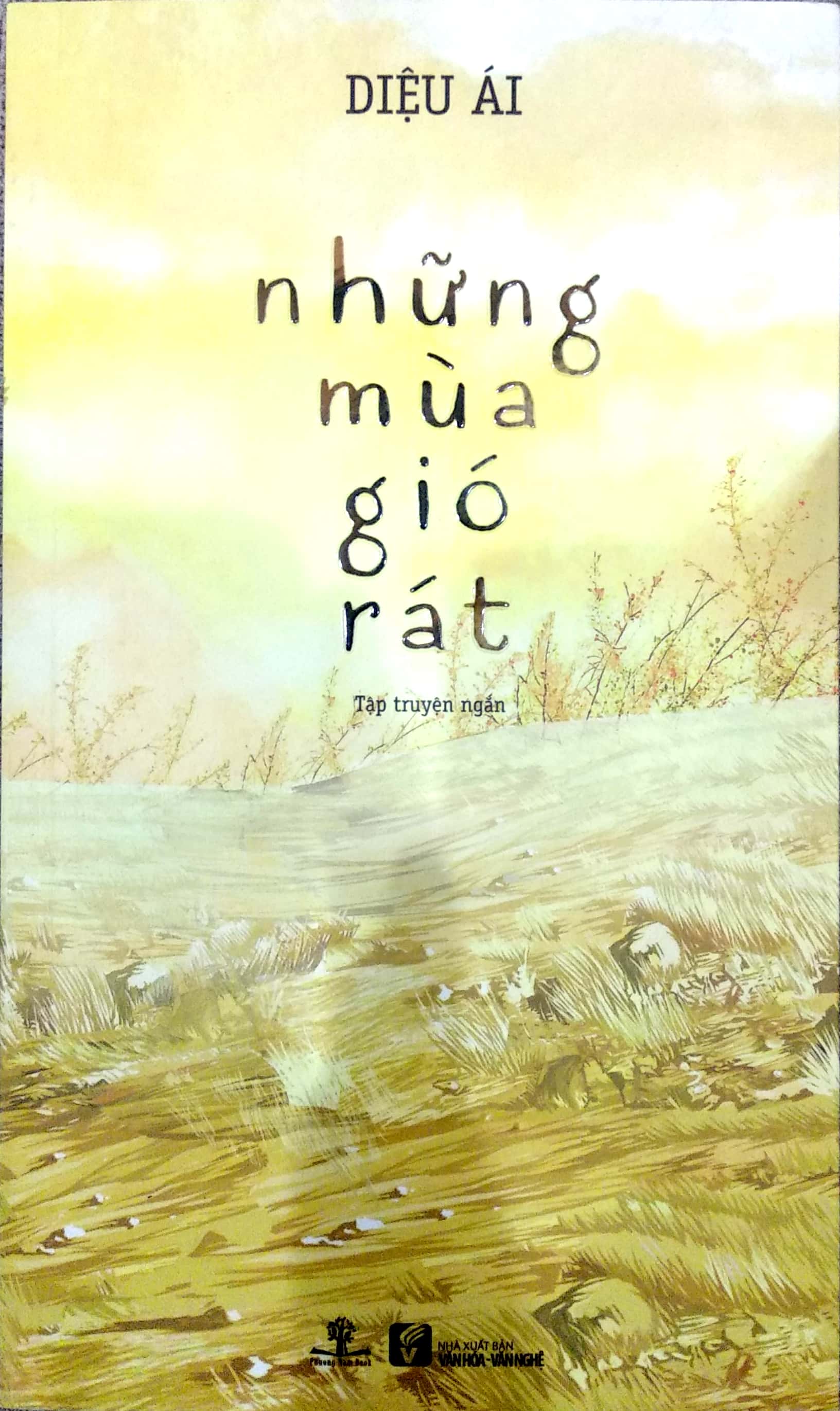 những mùa gió rát