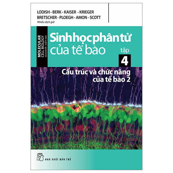 sinh học phân tử của tế bào - tập 4 - cấu trúc và chức năng của tế bào 2 (tái bản 2024)