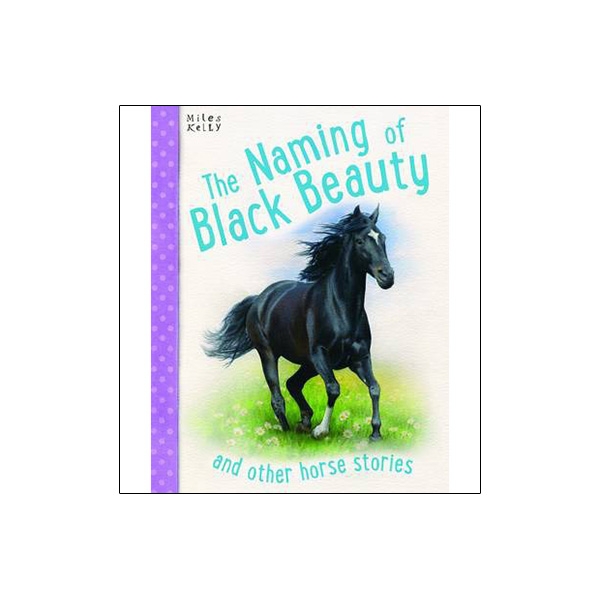 the naming of black beauty