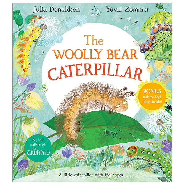 the woolly bear caterpillar