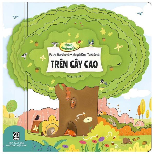 tò mò muốn biết… trên cây cao