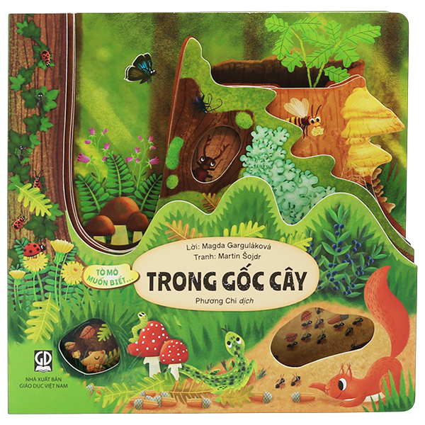 Tò Mò Muốn Biết... - Trong Gốc Cây - Bìa Cứng