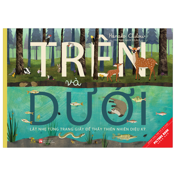 Trên Và Dưới - Above And Below