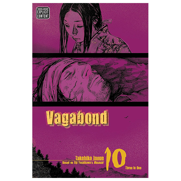 vagabond 10 (english edition)