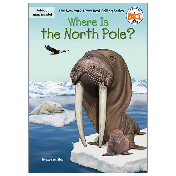 where is the north pole?