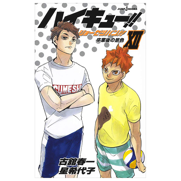 ハイキュー!! ショーセツバン!! 12 - haikyu!! shosetsu ban!! 12